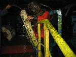 IMG_1962 IMG_1962