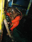 IMG_1964 IMG_1964