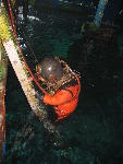 IMG_1965 IMG_1965