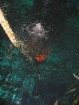 IMG_1967 IMG_1967
