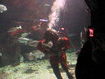 IMG_1970 IMG_1970