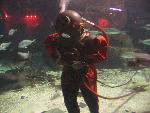 IMG_1971 IMG_1971