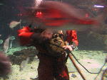 IMG_1973 IMG_1973