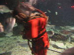 IMG_1974 IMG_1974