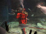 IMG_1975 IMG_1975