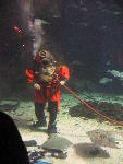 IMG_1976 IMG_1976