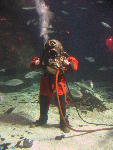 IMG_1977 IMG_1977