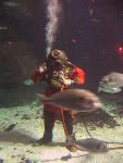 IMG_1978 IMG_1978