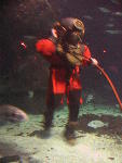 IMG_1982 IMG_1982
