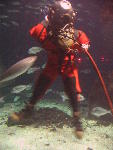 IMG_1983 IMG_1983