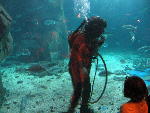 IMG_1986 IMG_1986