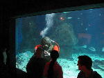 IMG_1987 IMG_1987
