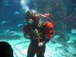 IMG_1988 IMG_1988