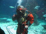IMG_1989 IMG_1989