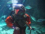 IMG_1992 IMG_1992