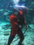 IMG_1993 IMG_1993