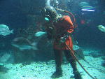 IMG_1994 IMG_1994