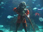 IMG_1996 IMG_1996