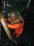 IMG_2029 IMG_2029
