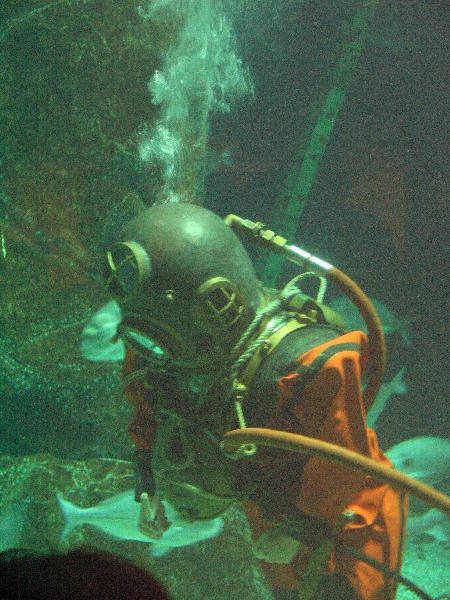 IMG_2033