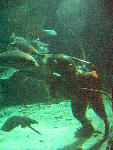 IMG_2034 IMG_2034