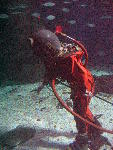 IMG_2035 IMG_2035