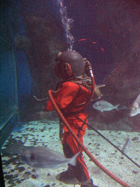 IMG_2036