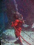 IMG_2036 IMG_2036