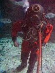 IMG_2037 IMG_2037