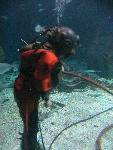 IMG_2040 IMG_2040