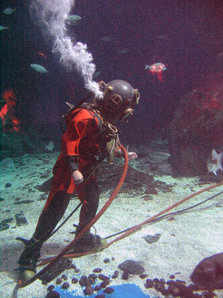 IMG_2041