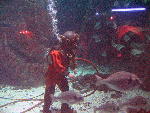 IMG_2043 IMG_2043
