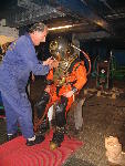 IMG_2069 IMG_2069