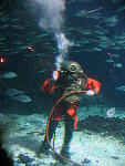 IMG_2076 IMG_2076
