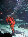 IMG_2077 IMG_2077