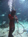 IMG_2078 IMG_2078