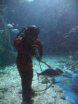 IMG_2079 IMG_2079