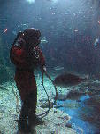 IMG_2080 IMG_2080