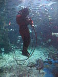 IMG_2081 IMG_2081
