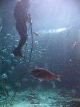 IMG_2082 IMG_2082