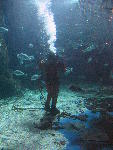 IMG_2083 IMG_2083