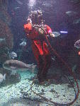 IMG_2085 IMG_2085