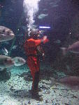 IMG_2086 IMG_2086