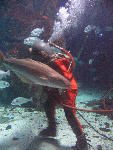 IMG_2087 IMG_2087