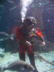 IMG_2088 IMG_2088