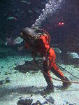 IMG_2089 IMG_2089
