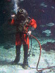 IMG_2090 IMG_2090