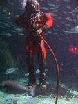 IMG_2091 IMG_2091