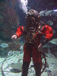 IMG_2092 IMG_2092