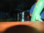IMG_2105 IMG_2105
